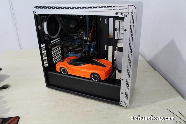 宠物猫为什么不能喝牛奶