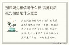 别质疑先相信是什么梗 滔搏别质疑先相信是什么意思