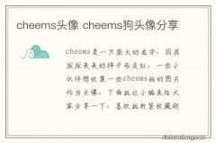 cheems头像 cheems狗头像分享