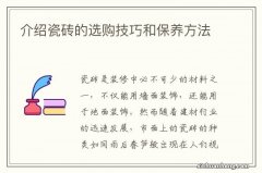 介绍瓷砖的选购技巧和保养方法