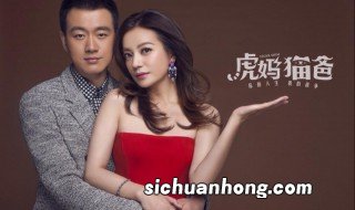 虎妈猫爸到底讲的什么 虎妈猫爸的剧情简介