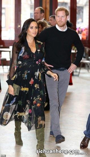 股东借款给公司如何做账