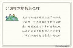 介绍杉木地板怎么样