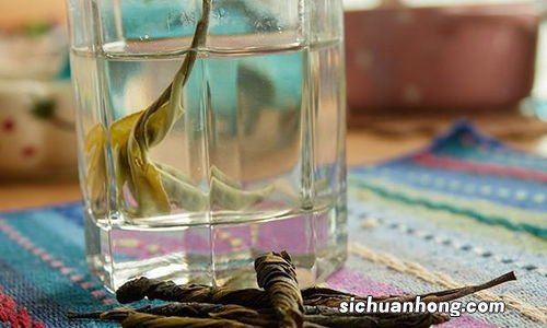 大叶苦丁茶什么人不能喝