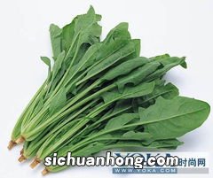 菠菜怎么吃才健康