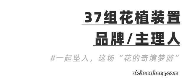 民办专科和公办专科有什么不同