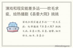 演戏和现实能差多远——吹毛求疵，给热播剧《县委大院》挑挑毛病