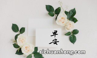 早安正能量的句子 早安正能量句子经典励志