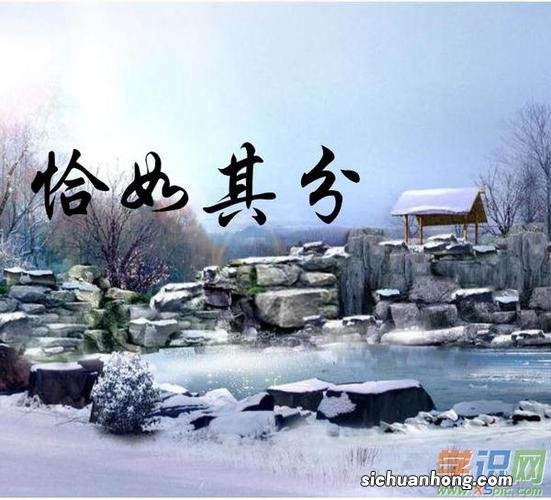 塞尔达耐火凤蝶哪里买