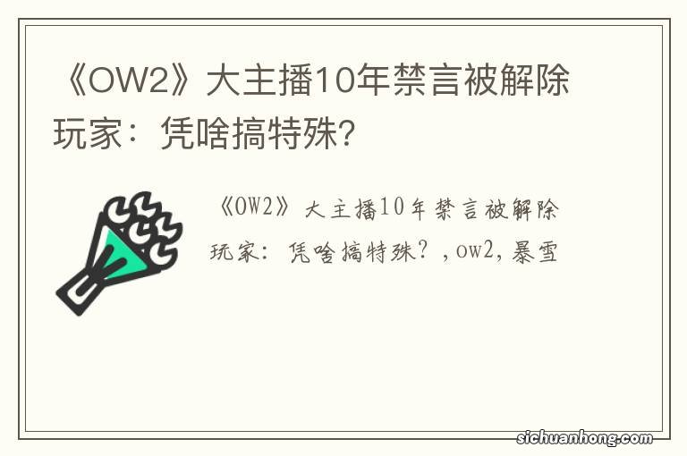 《OW2》大主播10年禁言被解除 玩家：凭啥搞特殊？