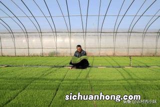 山行的古诗配画怎么画