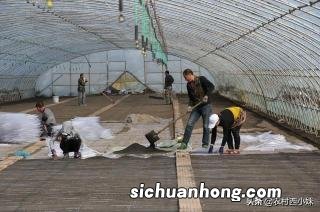 山行的古诗配画怎么画