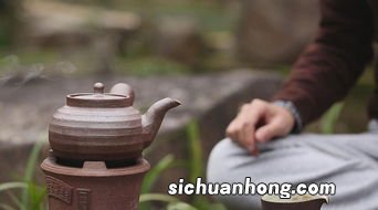 无茶质的茶可以用来什么