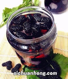 桑椹泡酒能放多久