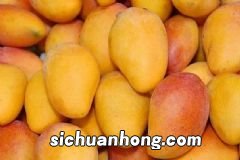 喝酒先签生死状,酒喝多了会对身体造成什么伤害?