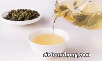 四季春茶属于什么茶