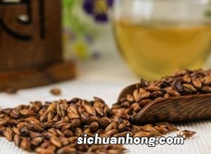 买什么样的大麦茶