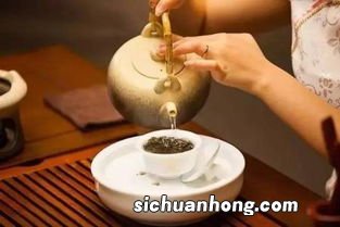 为什么喝了帝泊洱茶一直想吐