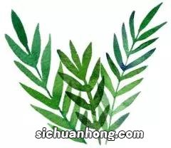 纺织是什么面料