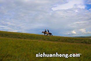 九曲是什么意思