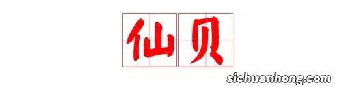 大学生医保错过怎么补