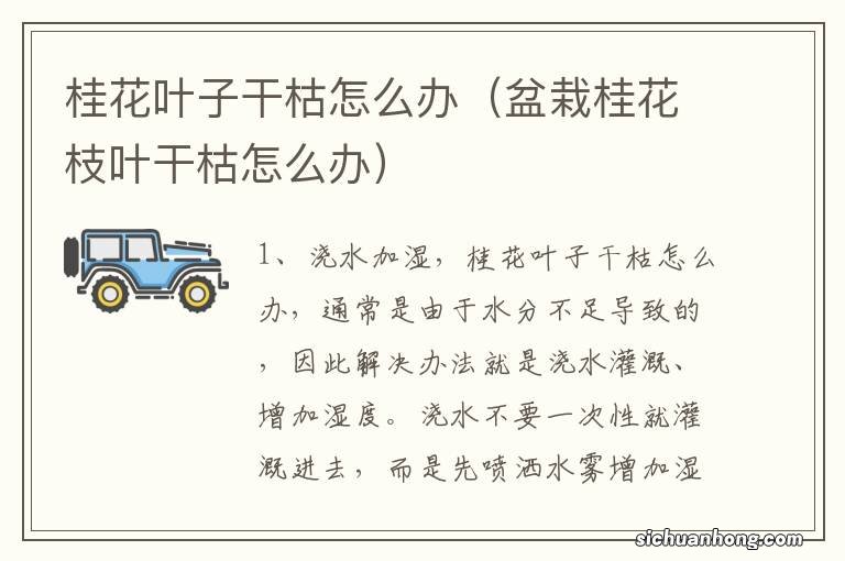 盆栽桂花枝叶干枯怎么办 桂花叶子干枯怎么办