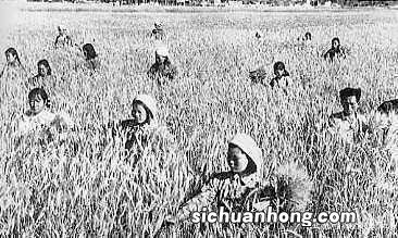 有什么办法可以让头发长得快