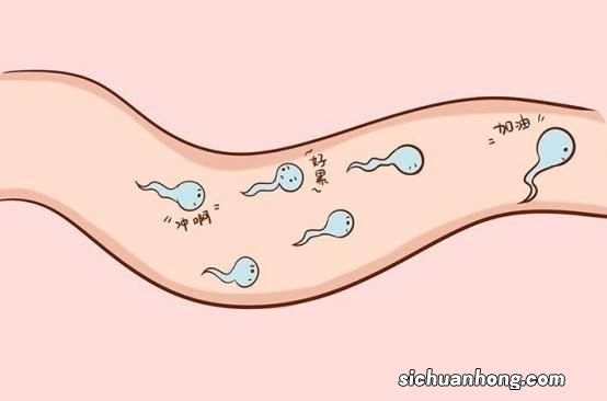 吃一口等于10斤生蚝，男性精子不好，可劲吃，精子一天天变强