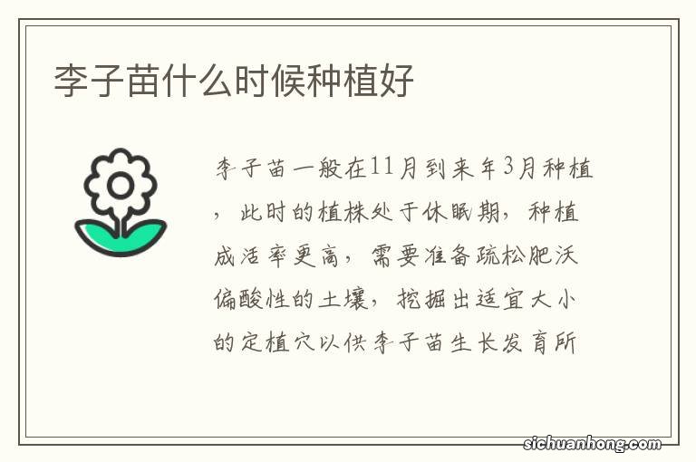 李子苗什么时候种植好