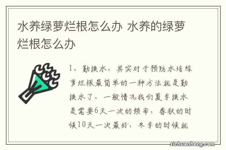 水养绿萝烂根怎么办 水养的绿萝烂根怎么办