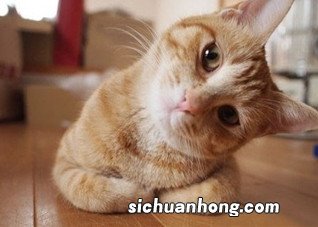 天气转冷当心落枕