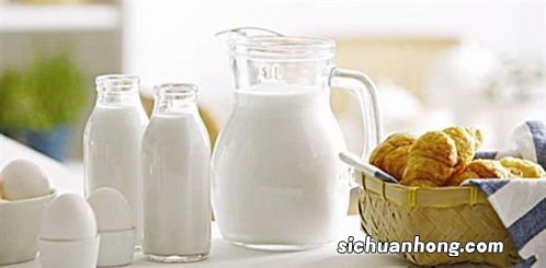 喝酒后吃什么主食好