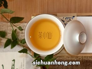 源茶是什么茶