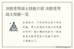 决胜苍穹战士技能介绍 决胜苍穹战士技能一览