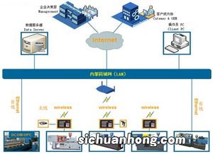 金刚葫芦娃什么意思