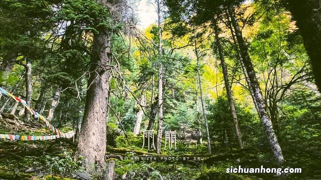 雨崩|不去天堂,就去雨崩!最佳徒步季已至,一生一次梅里朝圣
