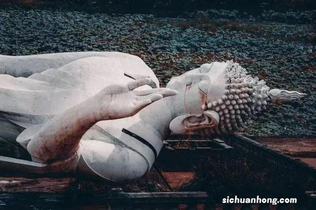 西双版纳,左手老挝冰咖啡,右手榴莲菠萝蜜,火过三亚真的不简单