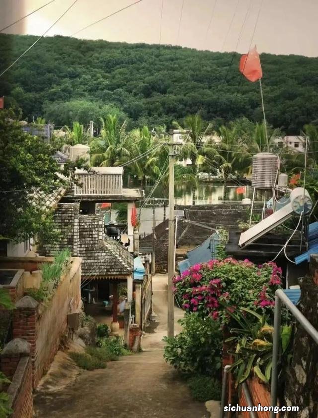 西双版纳,左手老挝冰咖啡,右手榴莲菠萝蜜,火过三亚真的不简单