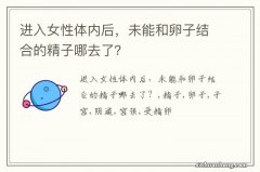 进入女性体内后，未能和卵子结合的精子哪去了？