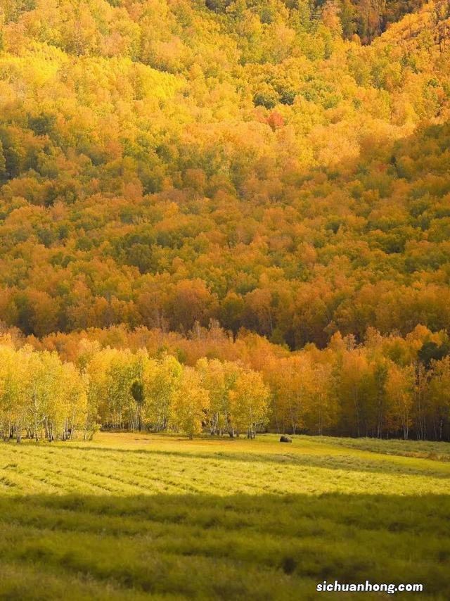 内蒙,打卡秋日绝美大草原,get《亲爱的客栈》同款目的地