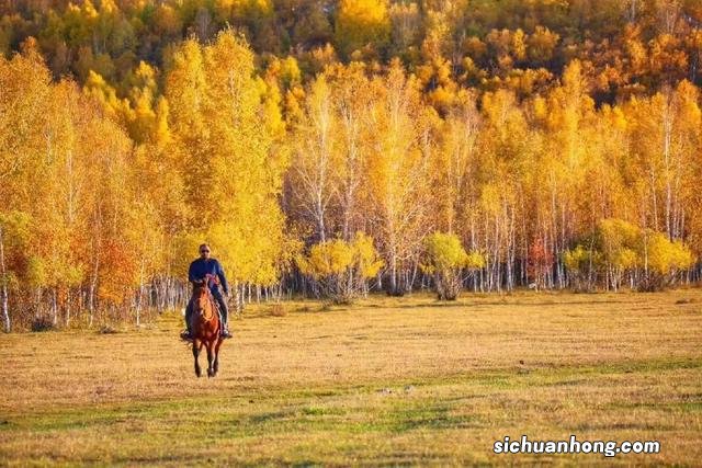 内蒙,打卡秋日绝美大草原,get《亲爱的客栈》同款目的地