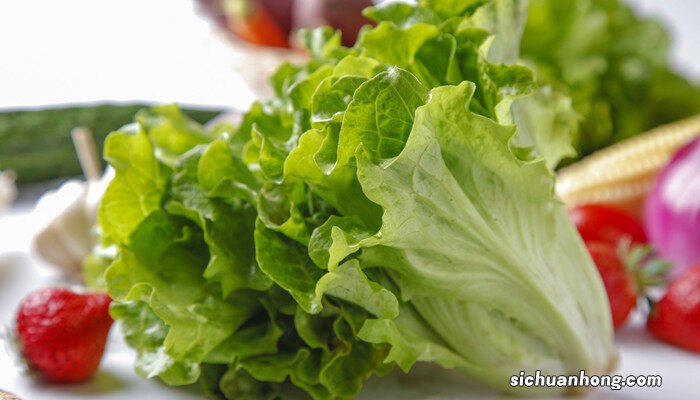 生菜几天发芽出苗苗是什么样的 生菜几天发芽出苗