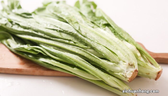 油麦菜的种植方法和时间 油麦菜几天发芽出土