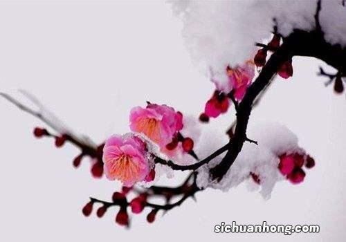 年假有工资拿吗