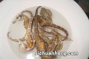 海马骨头汤有什么功效