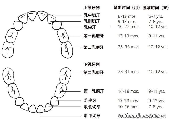 孩子出牙慢、出牙晚，大多数是正常的，除非有这些情况