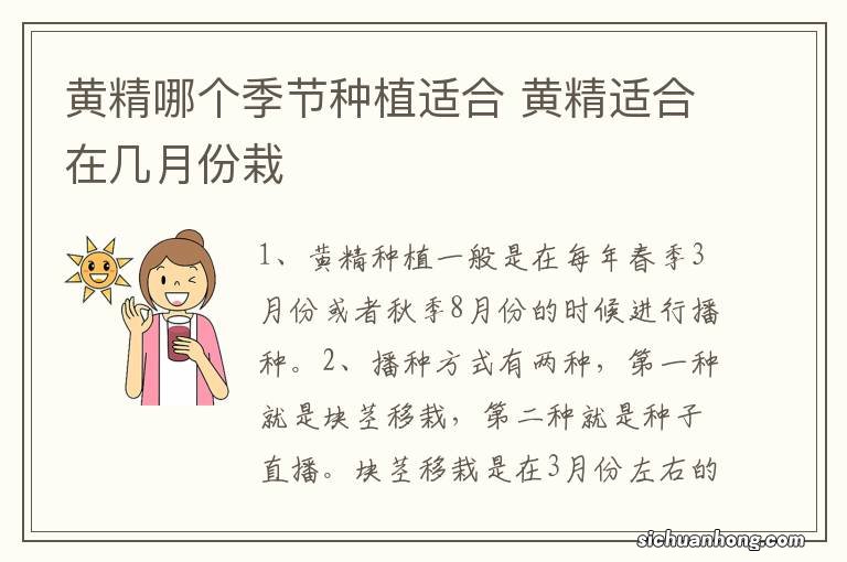 黄精哪个季节种植适合 黄精适合在几月份栽