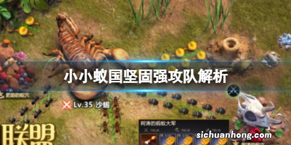 小小蚁国坚固强攻队解析 锯齿猛蚁金甲蚁黄蛛蚁