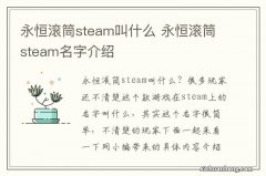 永恒滚筒steam叫什么 永恒滚筒steam名字介绍