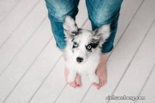 华为动态屏保怎么设置